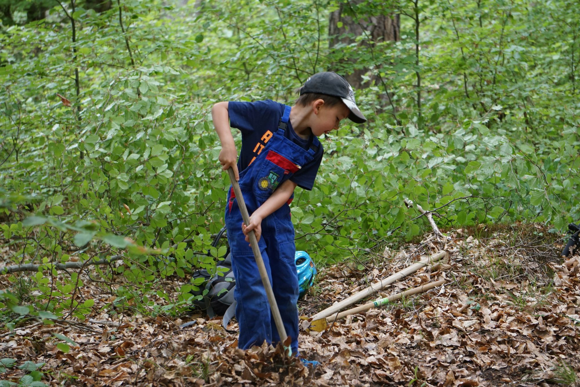 waldtag