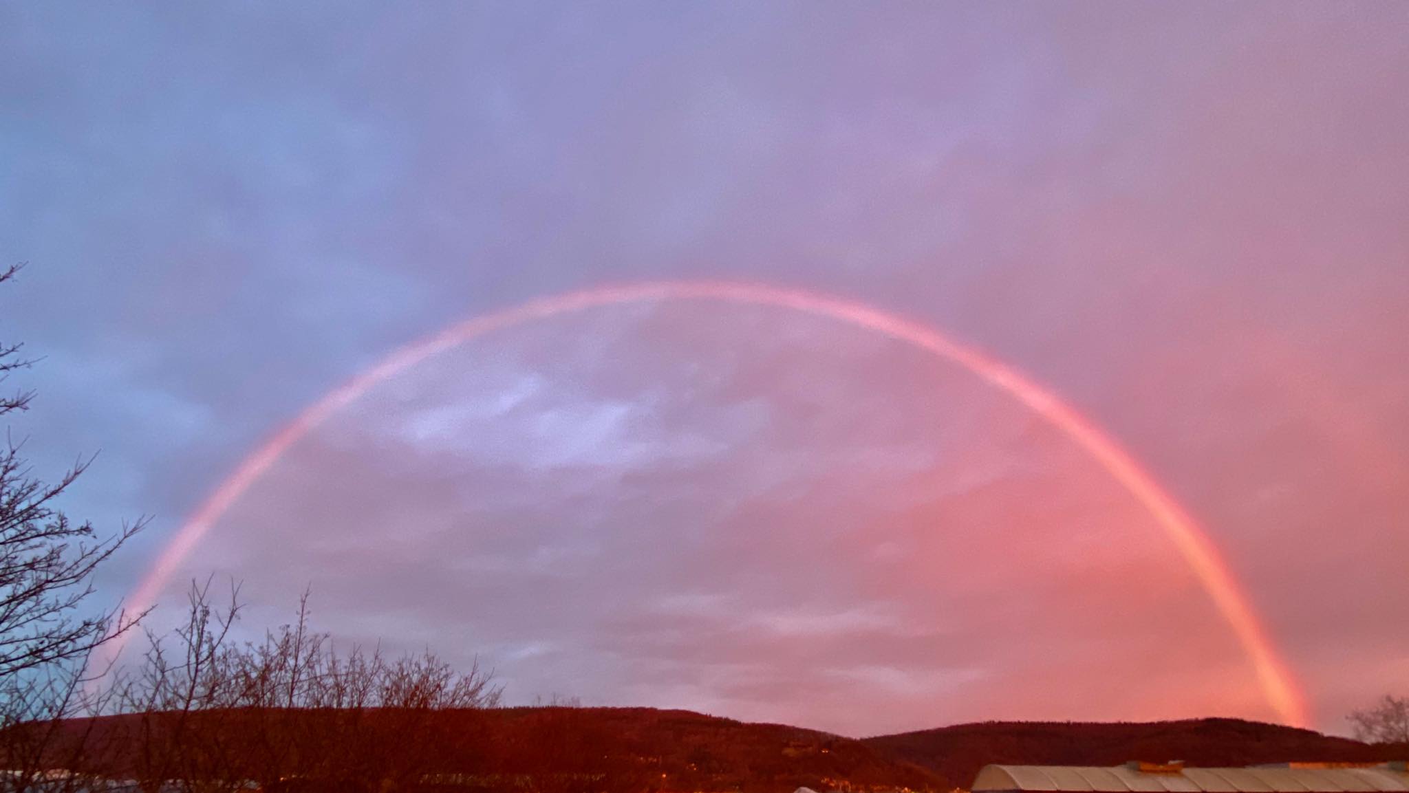 pinkrainbow