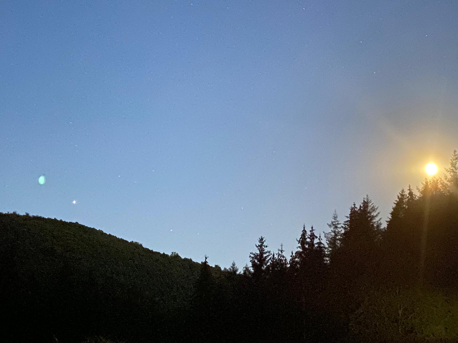 mond